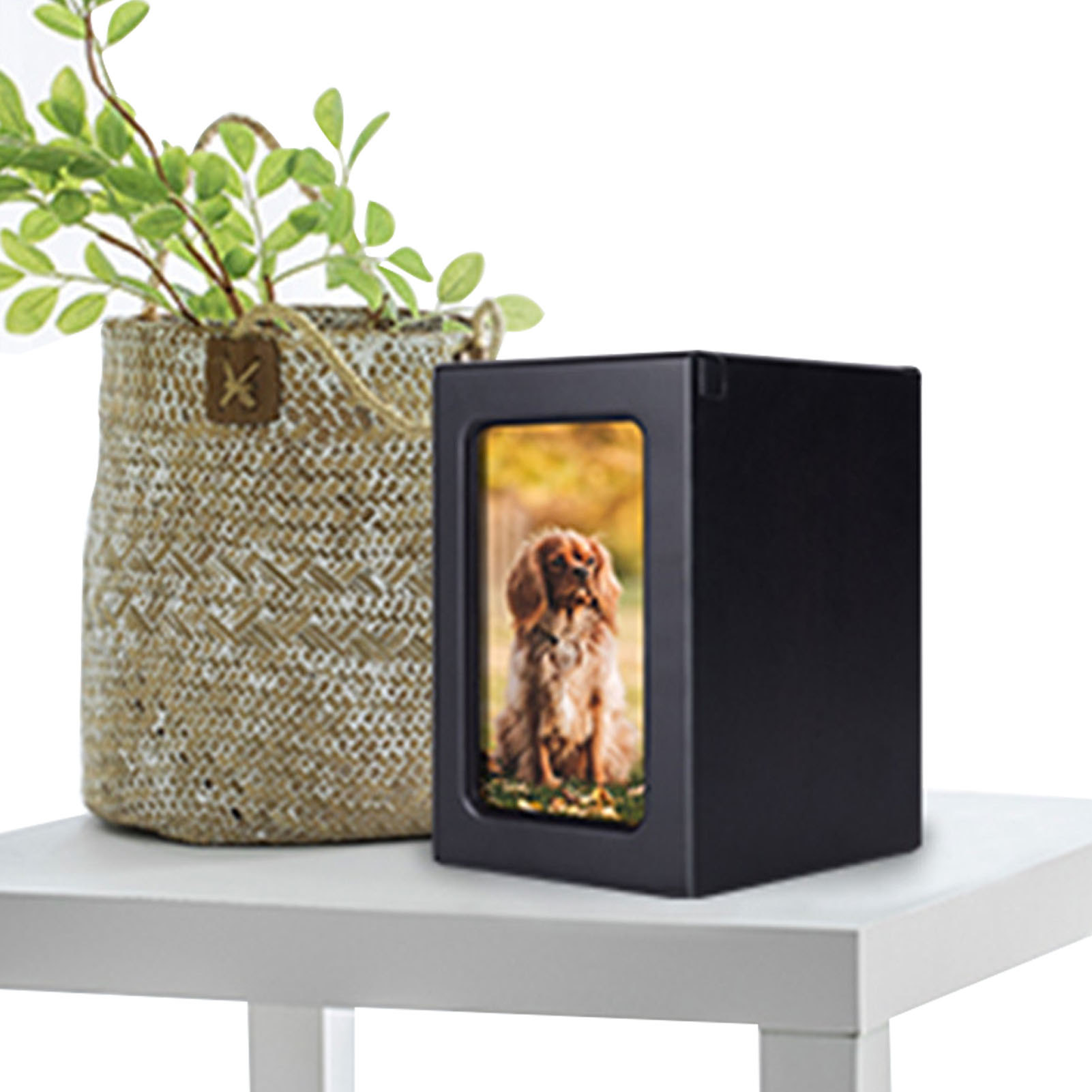 Wooden Pet Urns Wooden Cremati - Engraved Wood Frame ulasan dan harga
