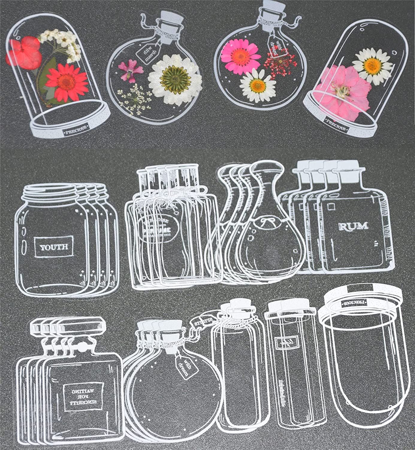 30Pcs Handmade DIY Transparent - Dried Flower Bookmark ulasan dan harga