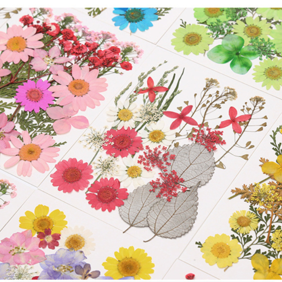 Un-dyed Natural Pressed Dried  - Dried Flower Bookmark ulasan dan harga